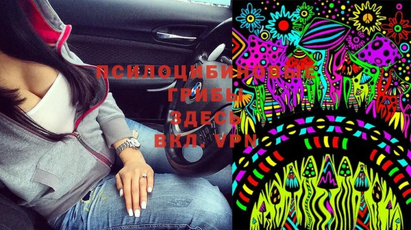 MESCALINE Аркадак