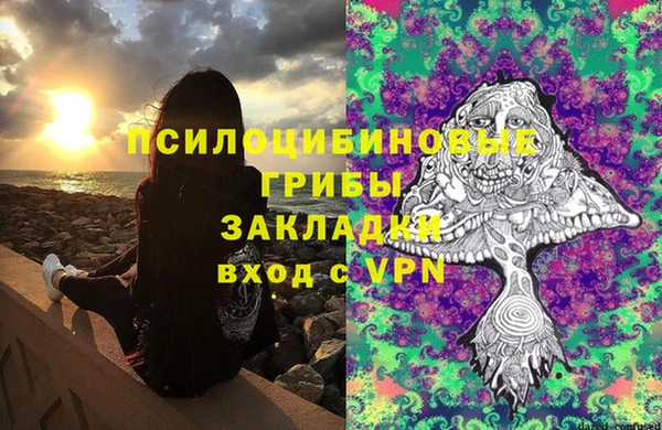 винт Армянск