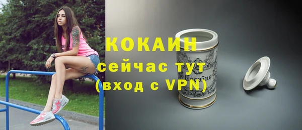 ешки Арсеньев