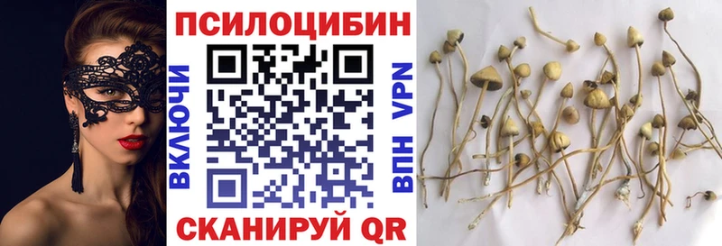 сколько стоит  нарко площадка наркотические препараты  Псилоцибиновые грибы прущие грибы  Ивантеевка 