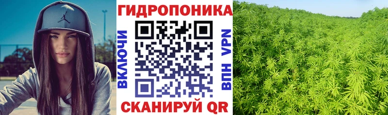 даркнет сайт  Ивантеевка  Каннабис OG Kush 